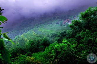 石門(mén)羅坪風(fēng)光