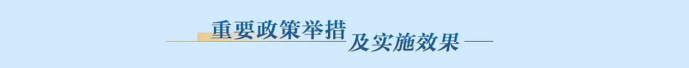 重要政策舉措及實(shí)施效果