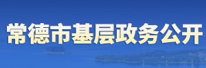 基層政務(wù)公開(kāi)