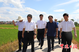 隋忠誠(chéng)來常調(diào)研農(nóng)業(yè)工作時(shí)指出 確保農(nóng)業(yè)增效、糧食增產(chǎn)、農(nóng)民增收