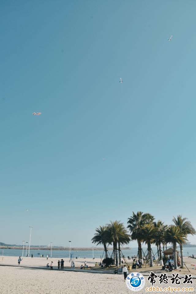 22036b9258e249bb9ce343054fe9bb75.jpg