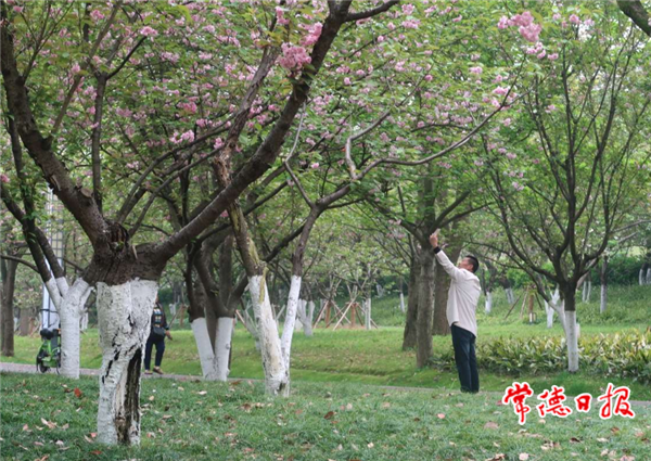 微信截圖_20210330140637.png