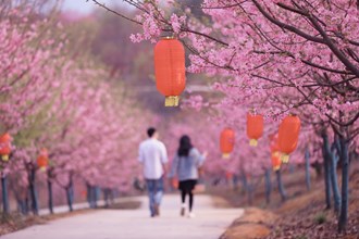 常德櫻花園