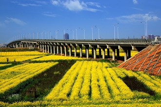 春灑澧水大橋