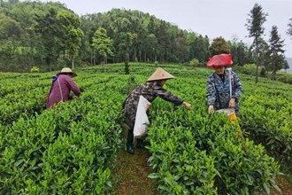 石門縣壺瓶山鎮(zhèn)