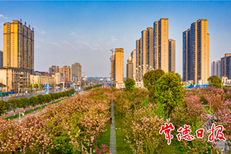 花園里的城市
