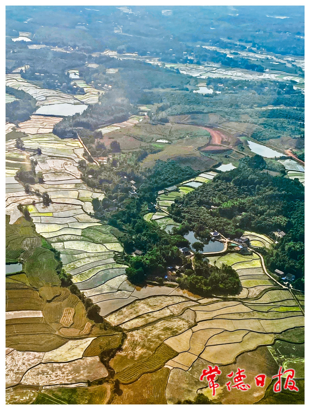 sj黃怡-五彩梯田-3-1.jpg