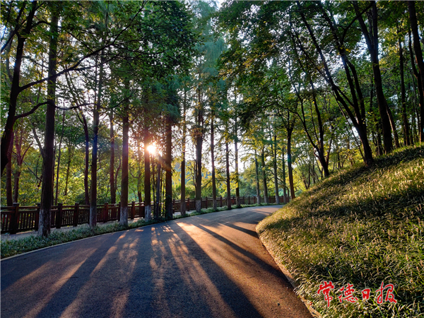 免票游園2.jpg
