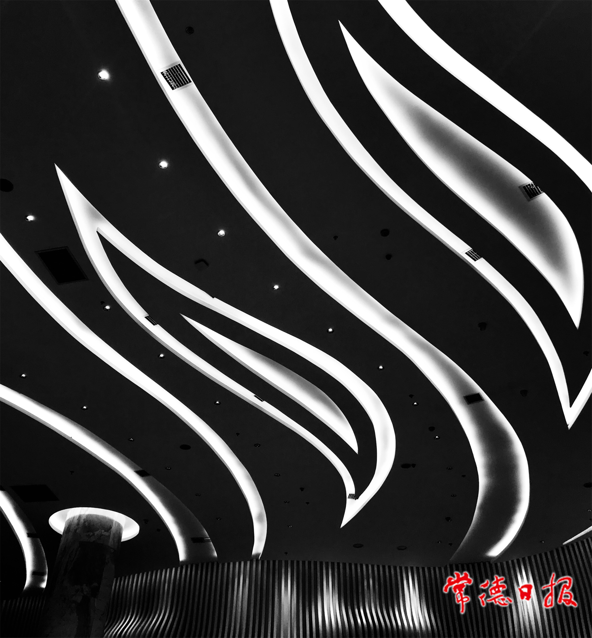 胡曉新-漫舞飛揚-1.jpg