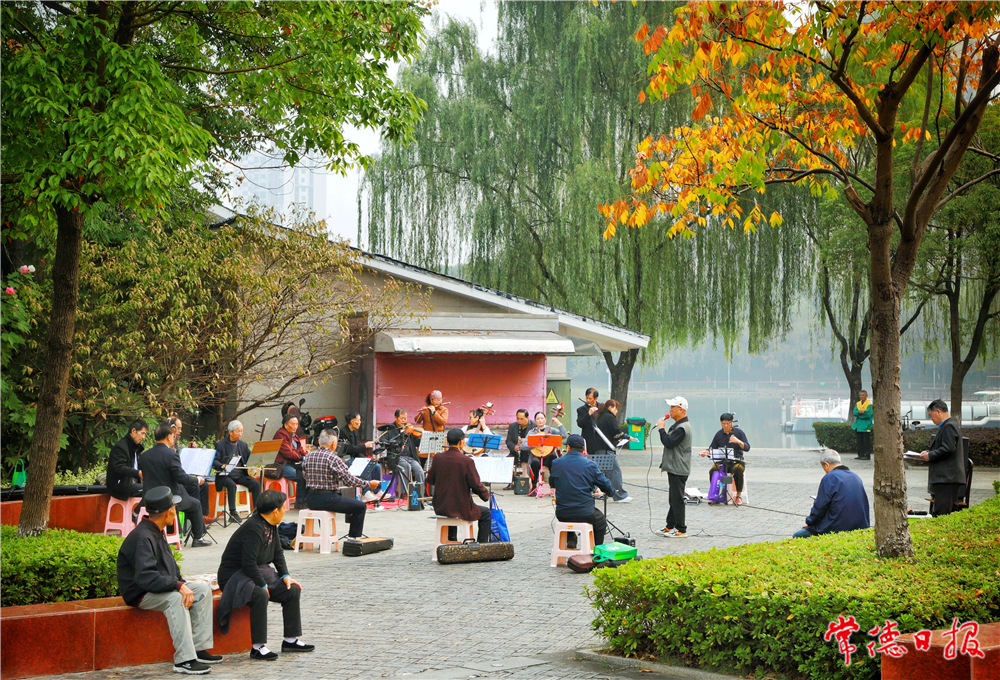 李浩洲-清晨的公園樂奏隊(duì)，賞秋，和媽媽秋游，秋實(shí)，，落葉知秋秋-5-1.jpg