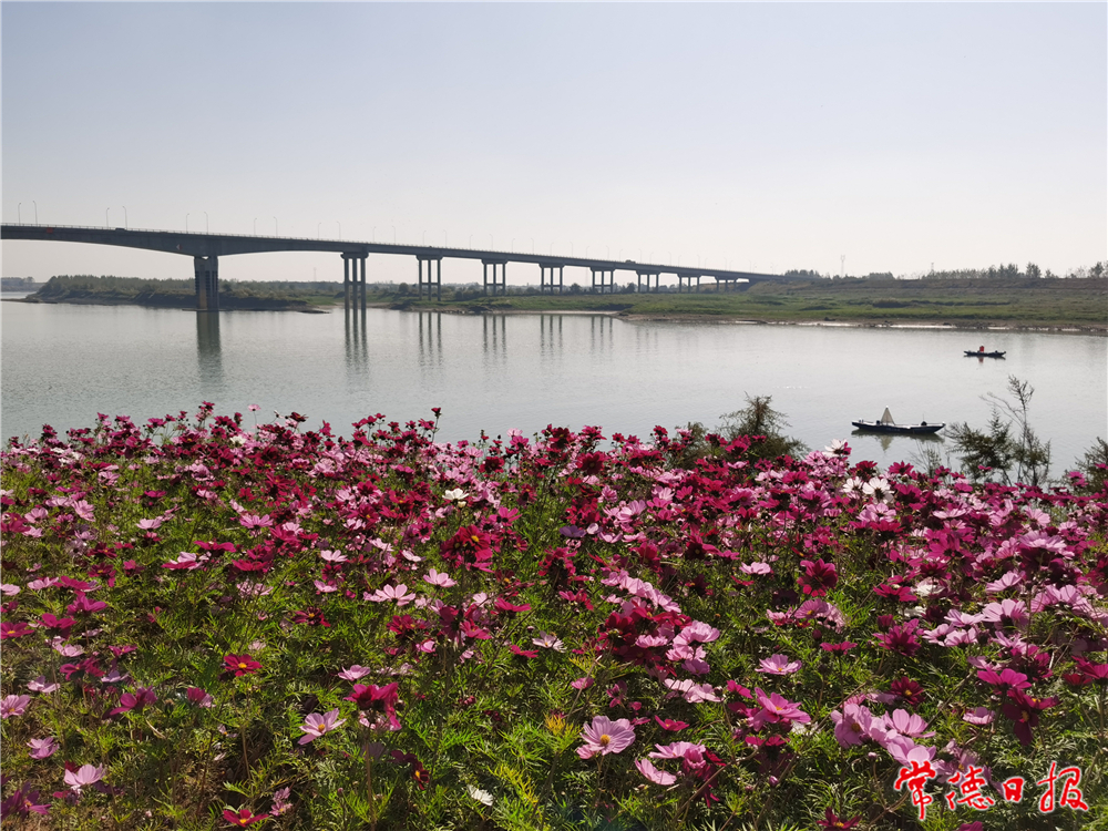 sj古田-澧水艷陽天-5-2.jpg