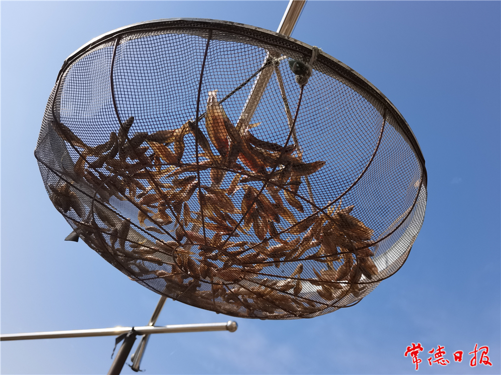 sj向敏-“晾曬”-3-1.jpg