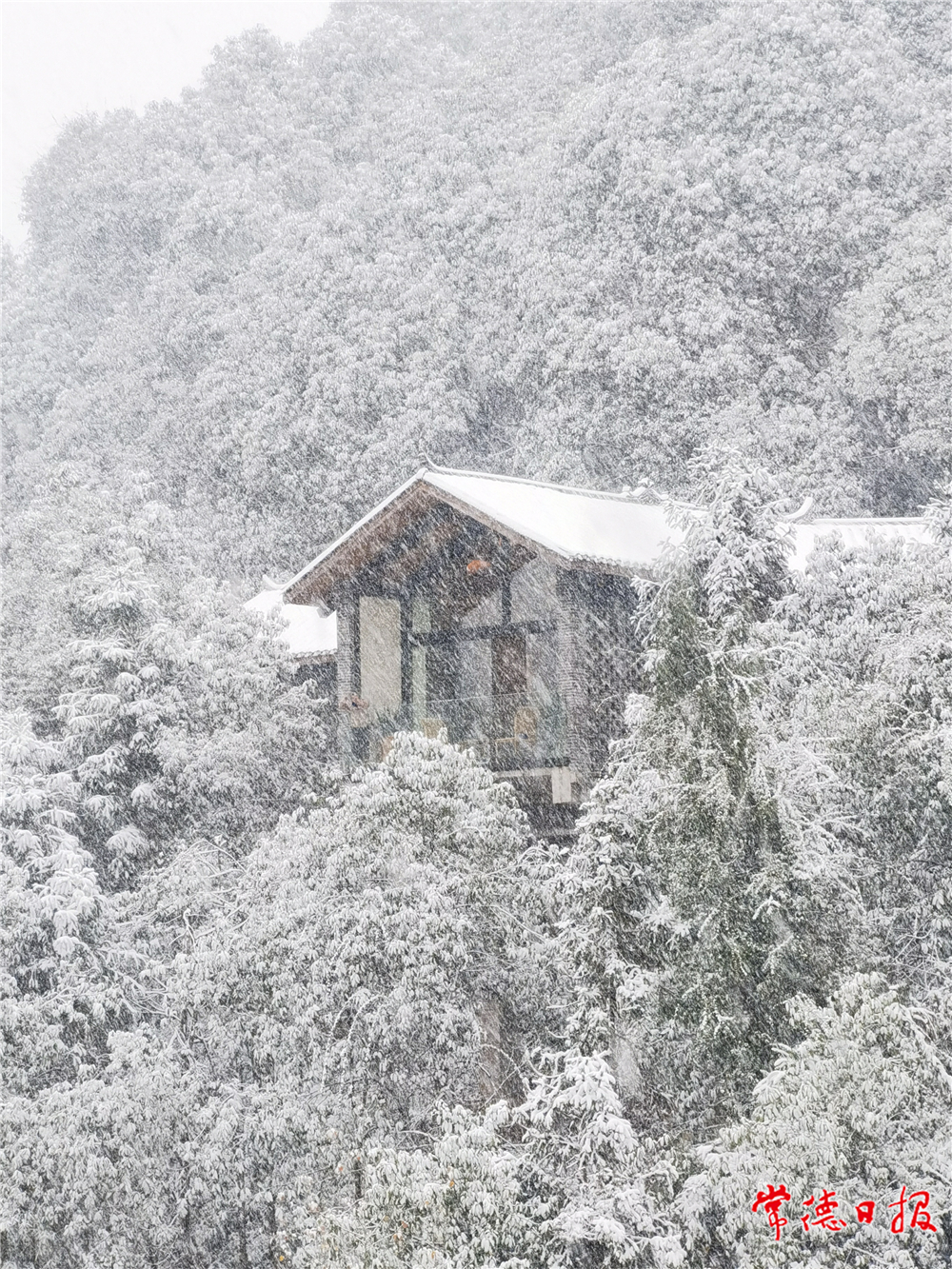 sj趙立文-聽雪-5-1.jpg