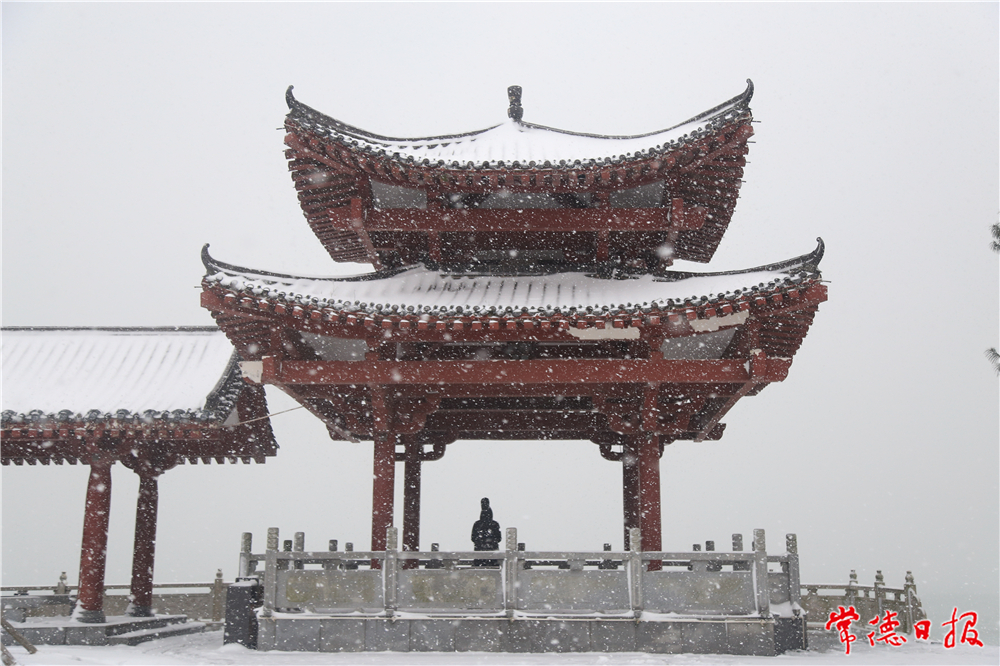 陳志明 (3).jpg