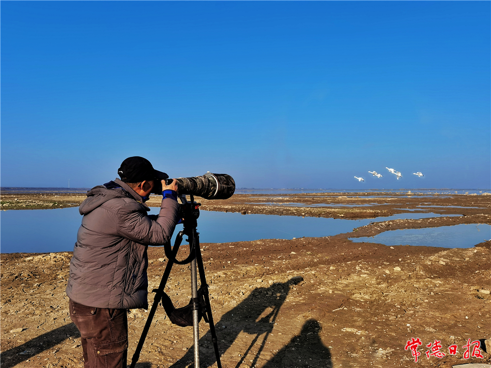 sj劉圖強(qiáng)-濕地打鳥人-1.jpg