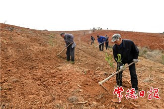 【社會(huì)】鼎城區(qū)蔡家崗鎮(zhèn)：早動(dòng)手 搶農(nóng)時(shí)