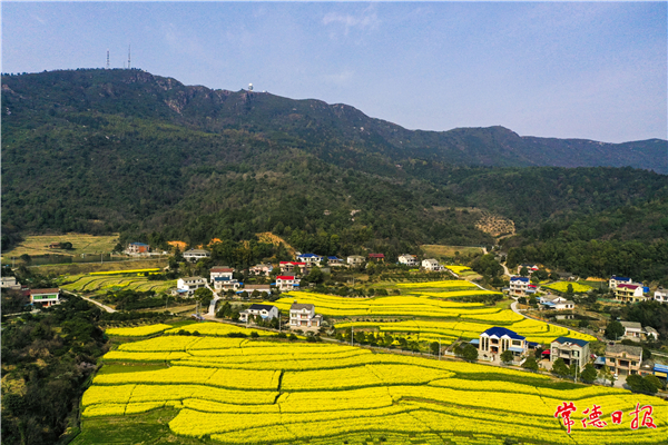 鄧軍-美麗山村-3-1.jpg