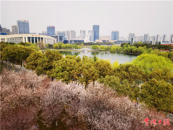 盧健-繁花似錦-1.jpg