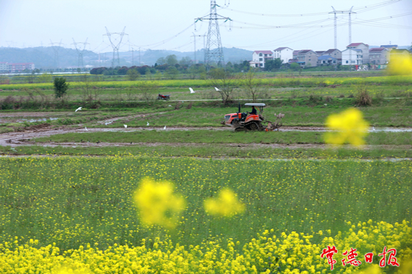 廖學(xué)春-春耕-1.jpg