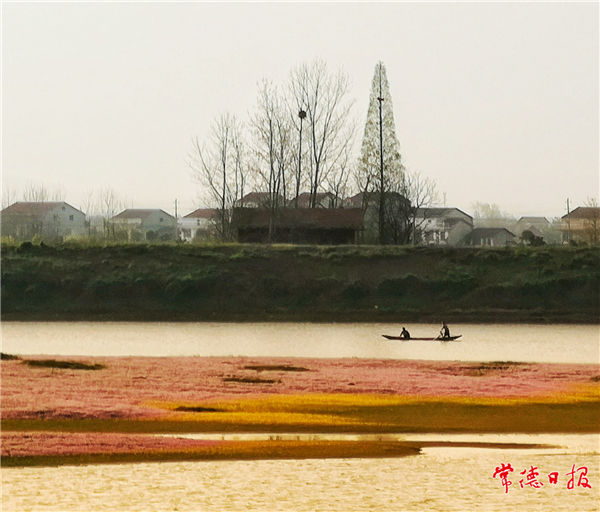 蔣世元-春色撩人-1.jpg