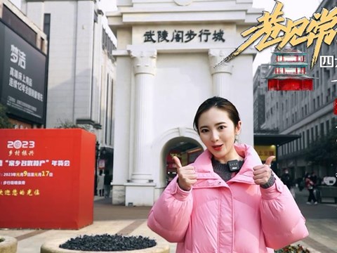 巷見常德四閣之武陵閣