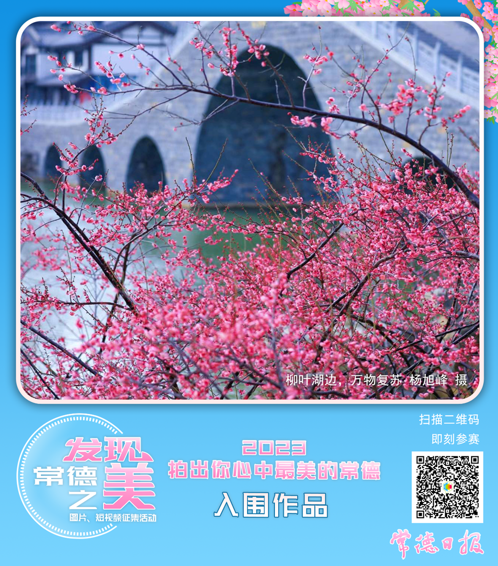 1380803c3f60453284a71216d324a1a6.png