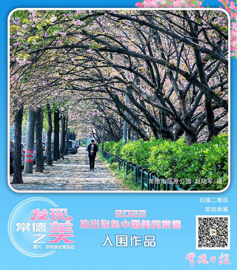 a8177ac482254fb99a8b9d3f9fa701c4.png