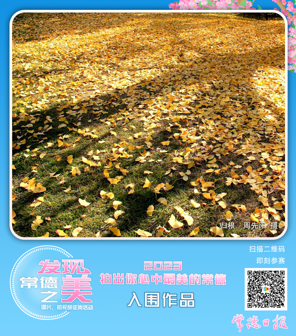 0b9cafacb57b4fbc97d061d895f84b83.png