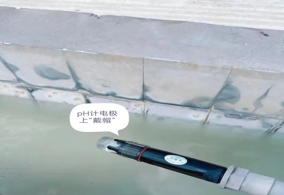 6532e9ac598d4d44bd4db0195c8c1dbf.jpg