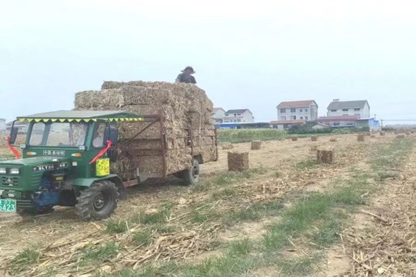 石門多途徑推進秸稈禁燒
