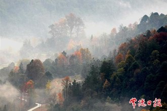 【發(fā)現(xiàn)常德之美專版】初冬暖陽(yáng)