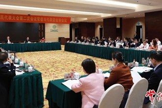 常德代表團(tuán)集中審議省政府工作報告及其他報告