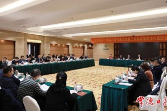 省十四屆人大二次會議常德代表團(tuán)召開第五次全體會議