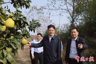 羅毅君調(diào)研臨澧縣經(jīng)濟(jì)社會發(fā)展情況
