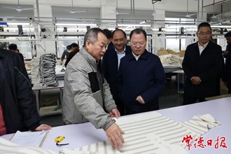 周振宇赴桃源縣調(diào)研督導(dǎo)強調(diào)：筑牢防線保安全 強化服務(wù)促發(fā)展