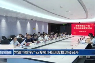 常德市數(shù)字產(chǎn)業(yè)專項小組調(diào)度推進會召開