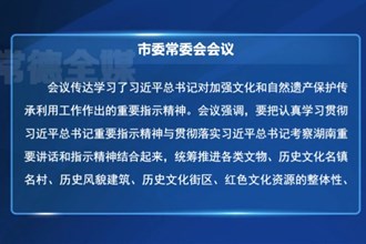 羅毅君主持召開市委常委會會議