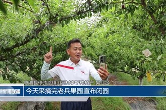 臨澧：我家果子成了“牌子貨”