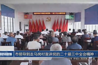 市領(lǐng)導(dǎo)到走馬崗村宣講黨的二十屆三中全會(huì)精神