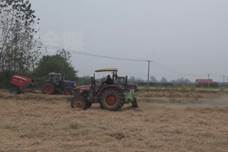 津市：秸稈回收再利用 變廢為寶促增收