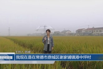 秋天的和聲 港中坪村的變化
