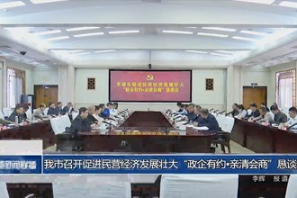 常德市召開促進(jìn)民營經(jīng)濟(jì)發(fā)展壯大“政企有約?親清會商”懇談會