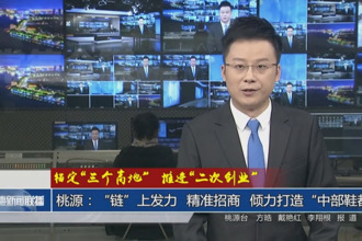 桃源：“鏈”上發(fā)力 精準招商 傾力打造“中部鞋都”