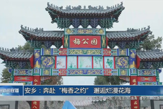 安鄉(xiāng)：奔赴“梅香之約” 邂逅爛漫花海