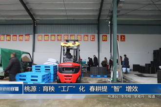 桃源：育秧“工廠”化 春耕提“智”增效