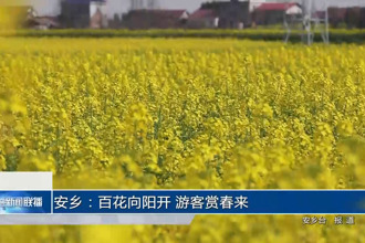 安鄉(xiāng)：百花向陽開 游客賞春來