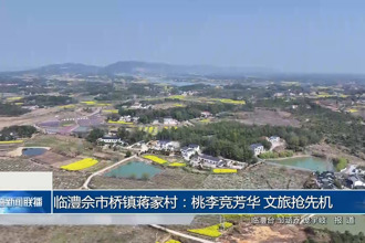 臨澧佘市橋鎮(zhèn)蔣家村：桃李競芳華 文旅搶先機