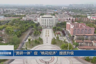 “賞研一體”促“桃花經(jīng)濟(jì)”提質(zhì)升級(jí)