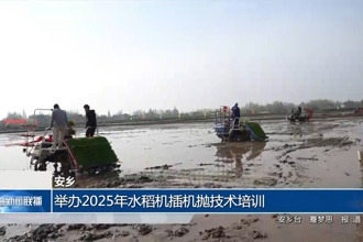 安鄉(xiāng)：舉辦2025年水稻機(jī)插機(jī)拋技術(shù)培訓(xùn)