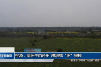 桃源：綠肥生態(tài)還田 耕地減“肥”提質